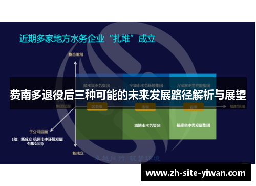 费南多退役后三种可能的未来发展路径解析与展望 费南多退役后三种可能的未来发展路径解析与展望