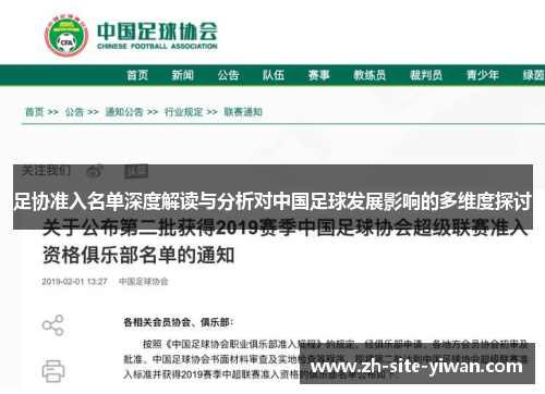 足协准入名单深度解读与分析对中国足球发展影响的多维度探讨 足协准入名单深度解读与分析对中国足球发展影响的多维度探讨